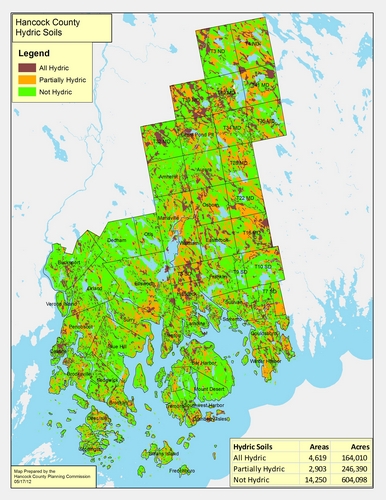Hydric Soils